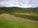 Hunter Valley Wine Region