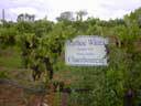 Ivanhoe Winery, Hunter Valley
