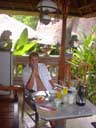 Tony pondering breakfast at the Honeymoon Guesthouse