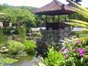 pond in resort